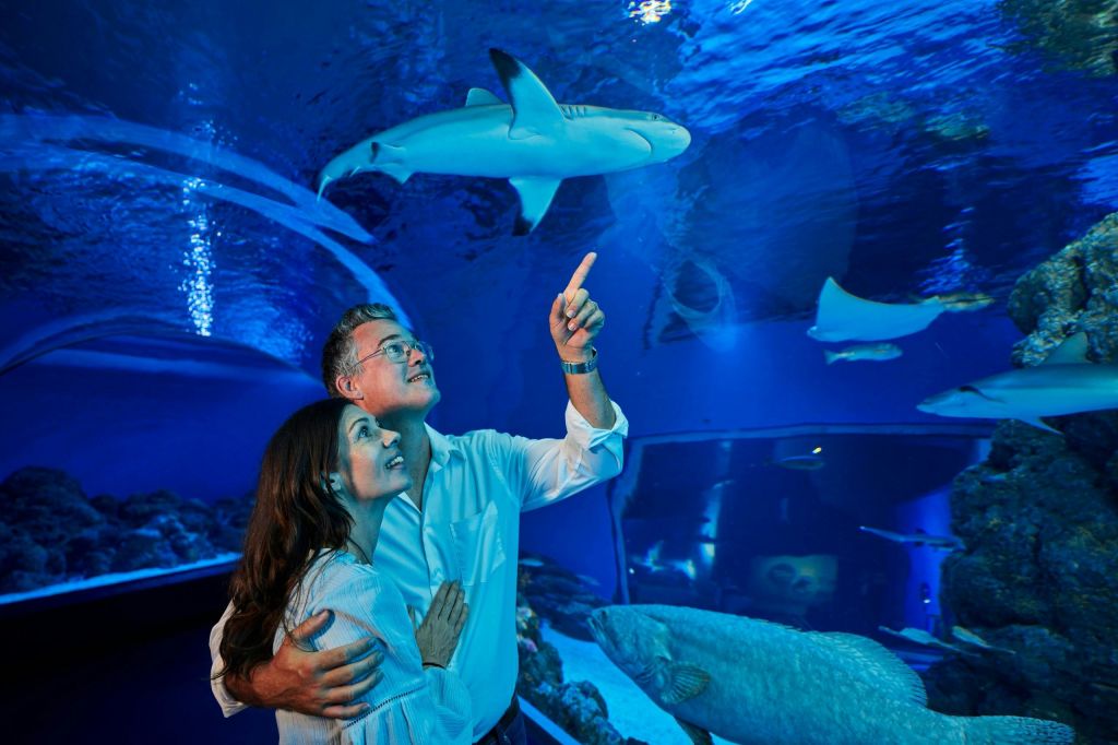 케언즈 아쿠아리움