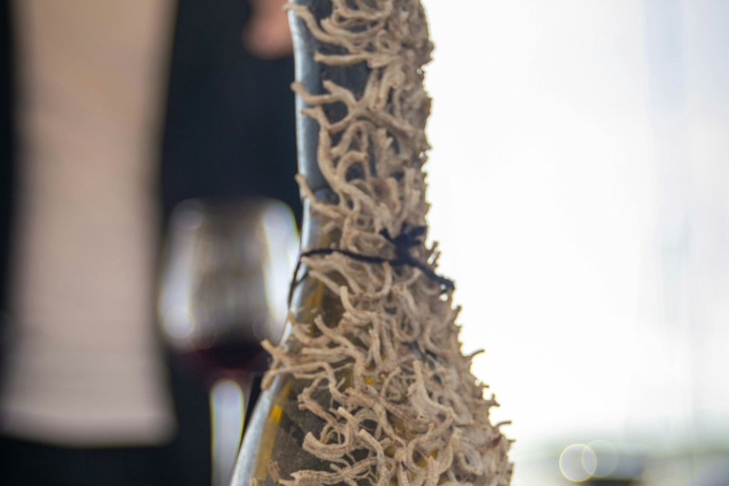 수중 와이너리는 인공 산호초 역할을 하여 다양한 종의 피난처를 제공합니다.