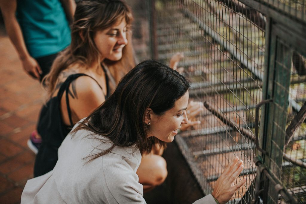 테갈랄랑 우붓 발리에서 즐기는 알라스하룸 농경 투어