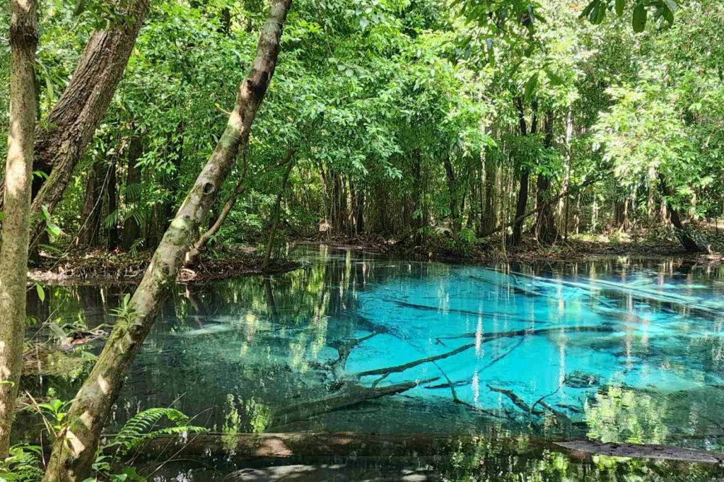 숨 막히게 아름다운 블루라군을 배경으로 스냅 사진 촬영하기