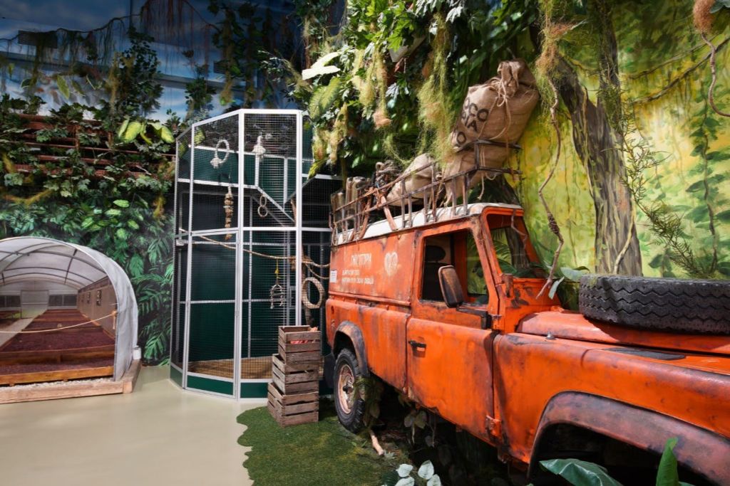 You've just arrived at a lush tropical plantation: discover cocoa cultivation and experience a genuine Mexican vibe!