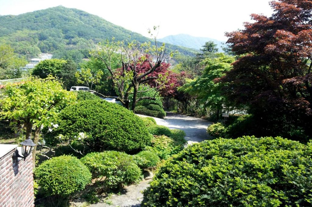 포천 숲속의궁전 경쟁 제품과 비교 이미지