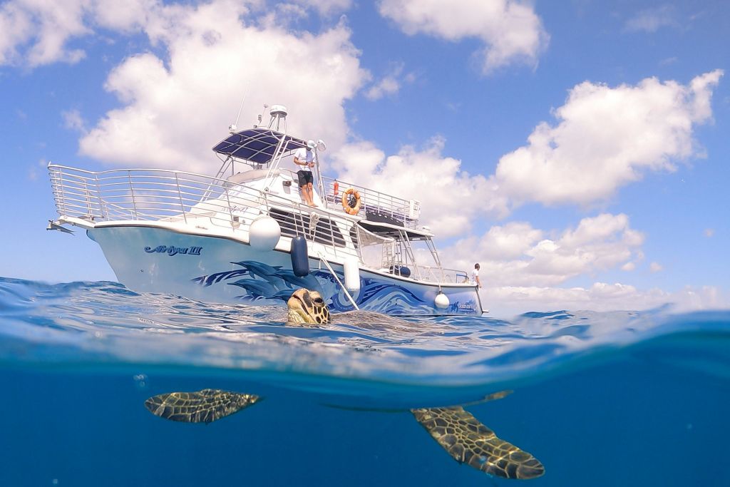 수면 근처를 헤엄치는 바다거북이 보트와 위쪽 사람들을 태우고 구름이 흩날리는 푸른 하늘을 배경으로 하고 있습니다.