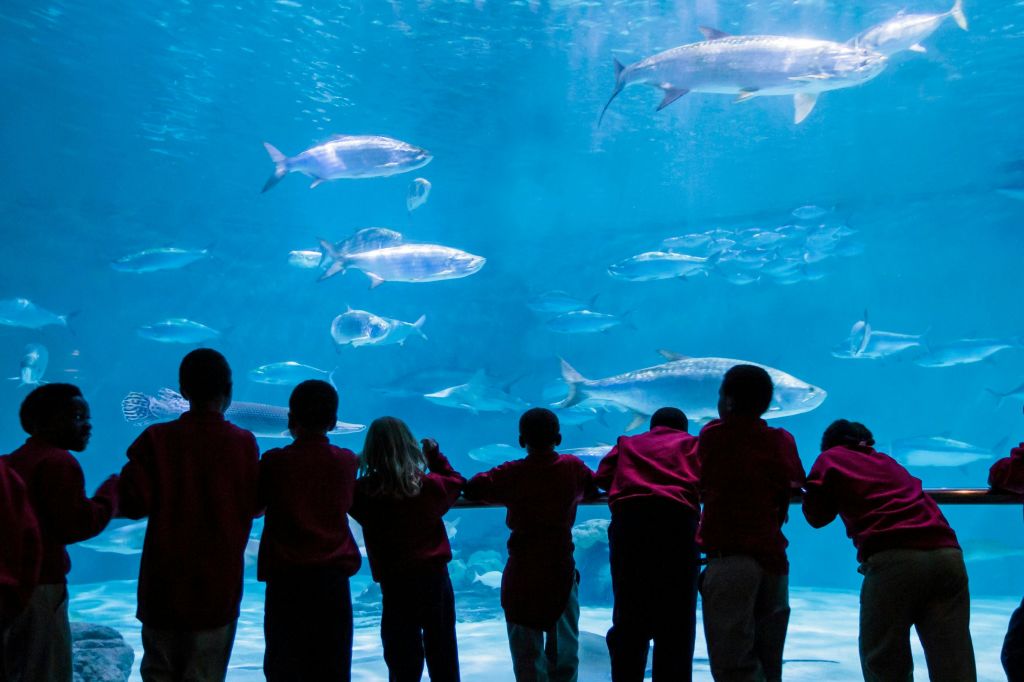 멕시코만 전시회