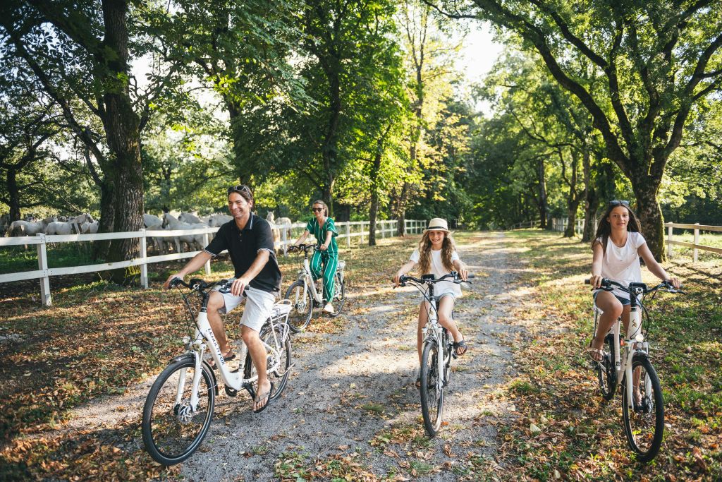 하얀 울타리와 양 옆 숲길에서 자전거를 타는 세 사람. 나무가 주변을 둘러싸고 있습니다.