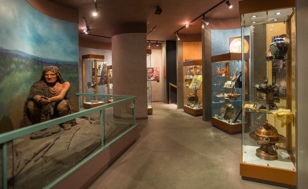 박물관을 배경으로 유물, 벽면 벽화, 방향 조명이 담긴 유리 진열 케이스가 있는 전시실입니다.