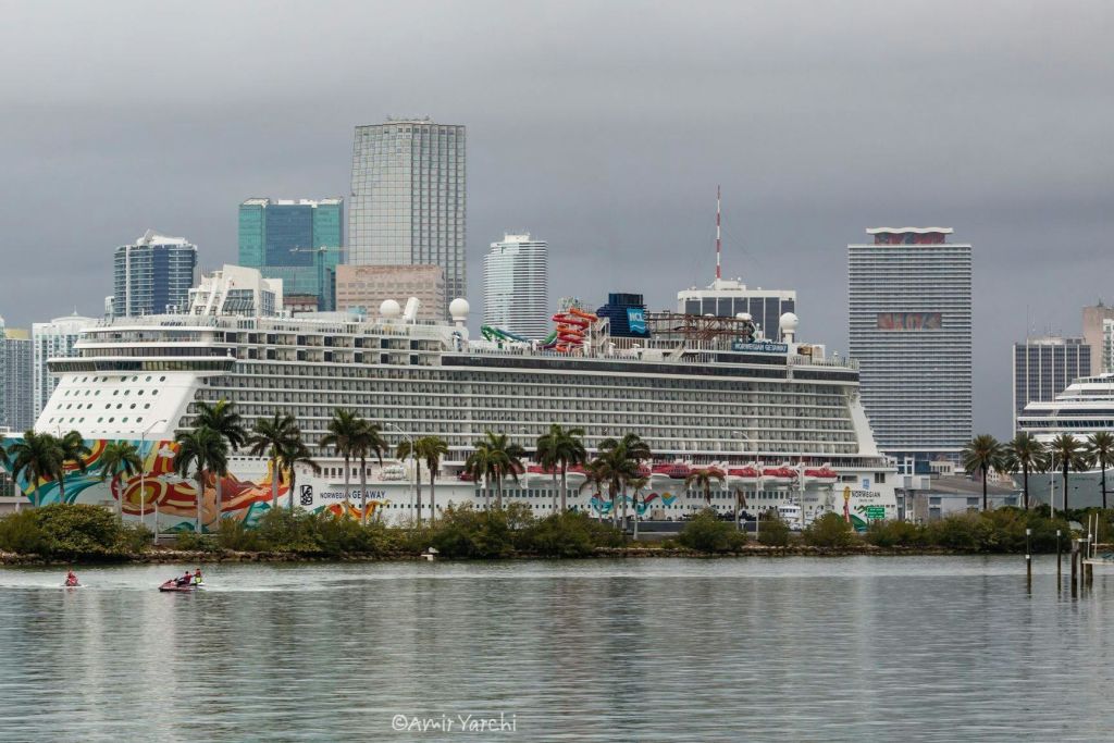 마이애미 그레이라인