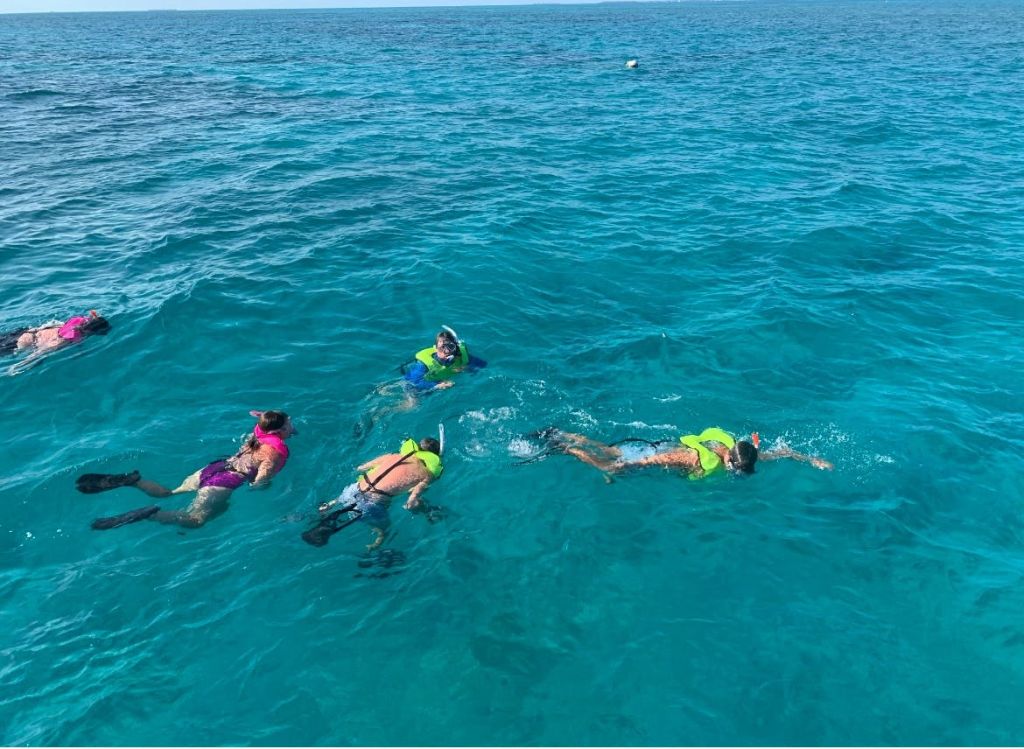 햇살이 내리쬐는 하늘 아래 잔잔하고 맑은 푸른 바다에서 네 명이 구명조끼와 스노클링 장비를 착용하고 스노클링을 즐기고 있습니다.