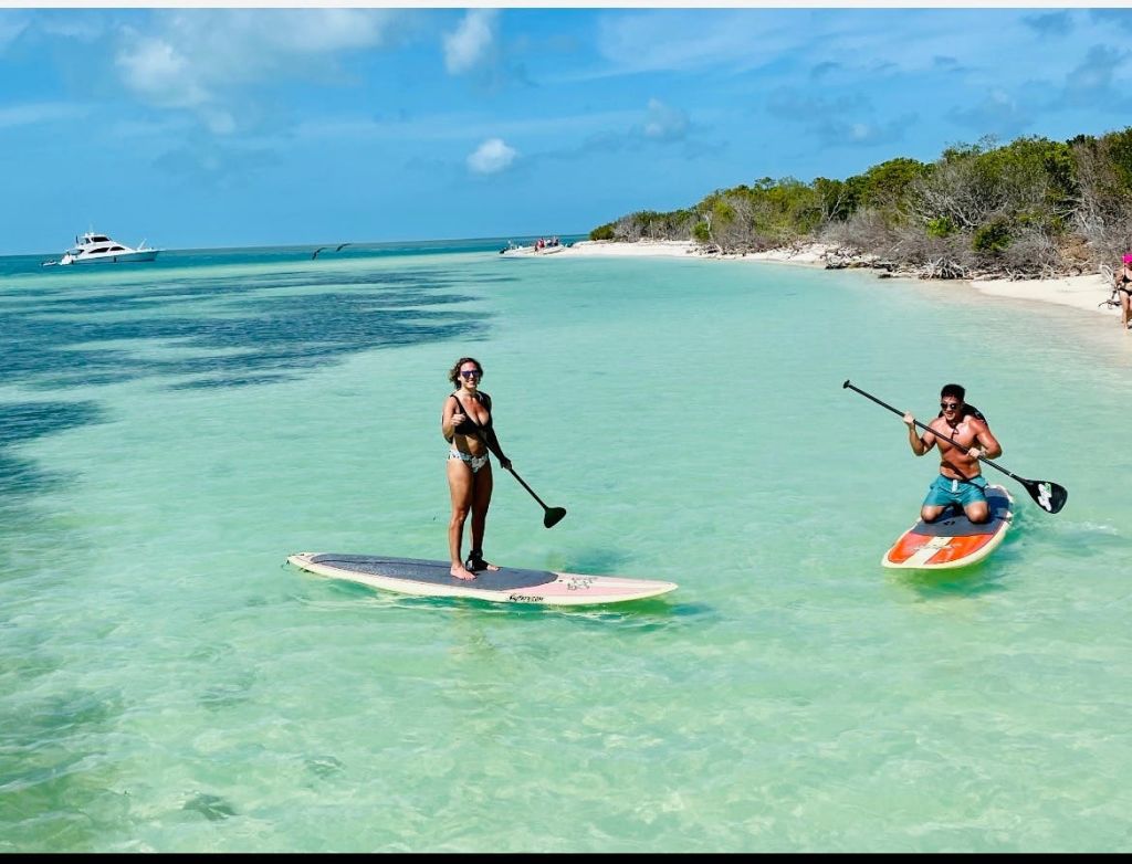 햇살이 내리쬐는 하늘 아래 나무를 배경으로 해변 근처의 맑은 청록색 바다에서 패들보딩을 즐기는 사람.