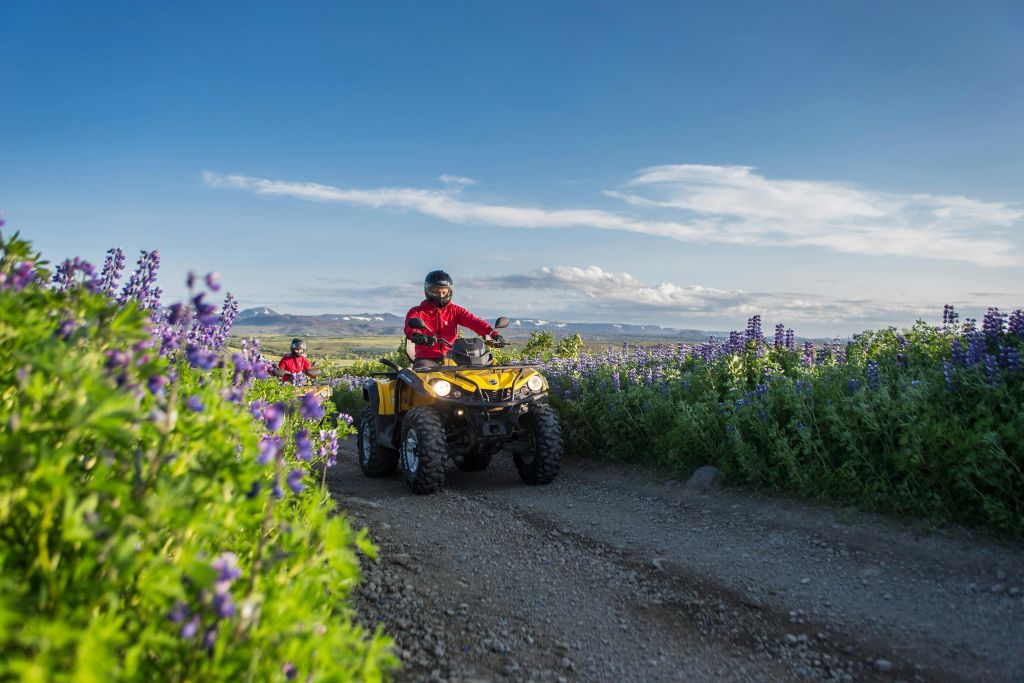 아이슬란드 자연 ATV