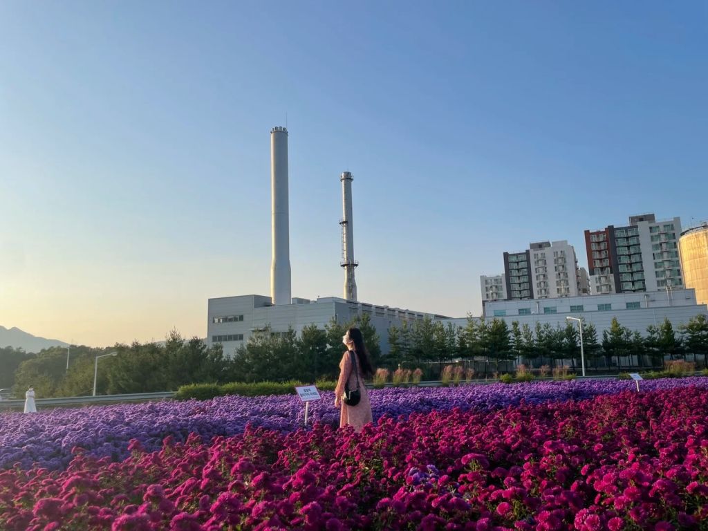 나리 농원