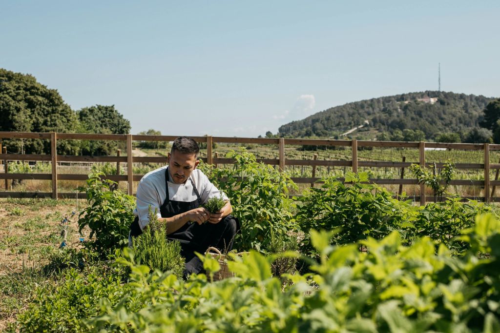 토레스 와이너리