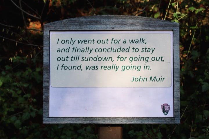 뮤어우즈국립기념물