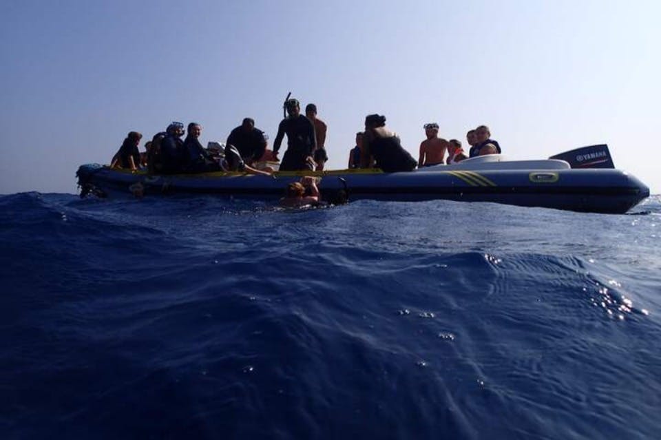 마르사알람 돌핀하우스 스피드보트 투어