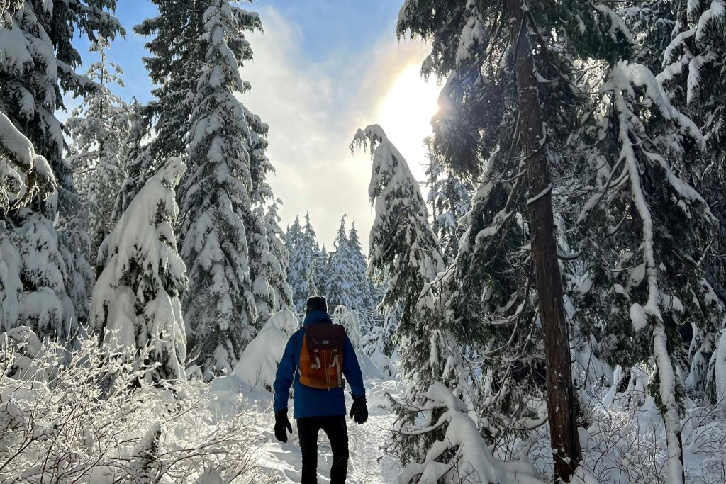 겨울 동화 나라!