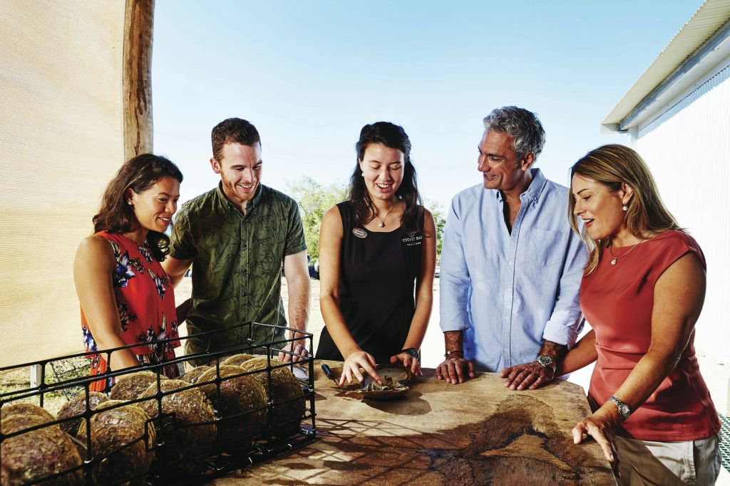 시그넷 베이 펄 팜