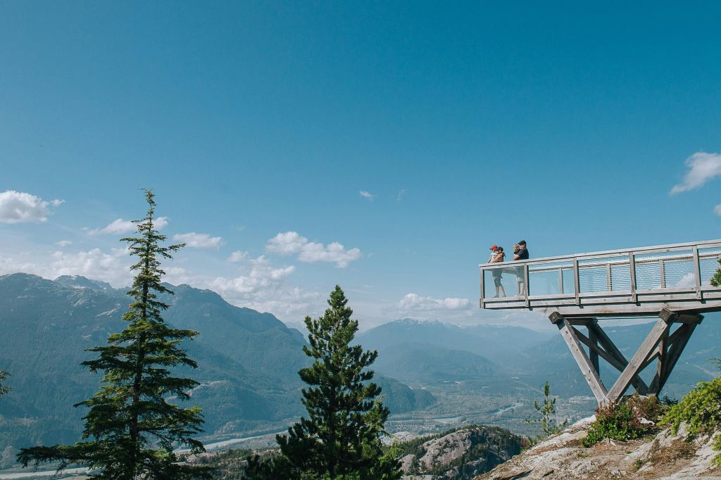 Chief Overlook 플랫폼의 가족