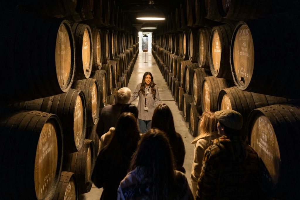 복도 양쪽에 커다란 통이 줄지어 있는 희미한 조명의 와인 저장고에서 한 무리의 사람들이 가이드의 말을 듣고 있습니다.