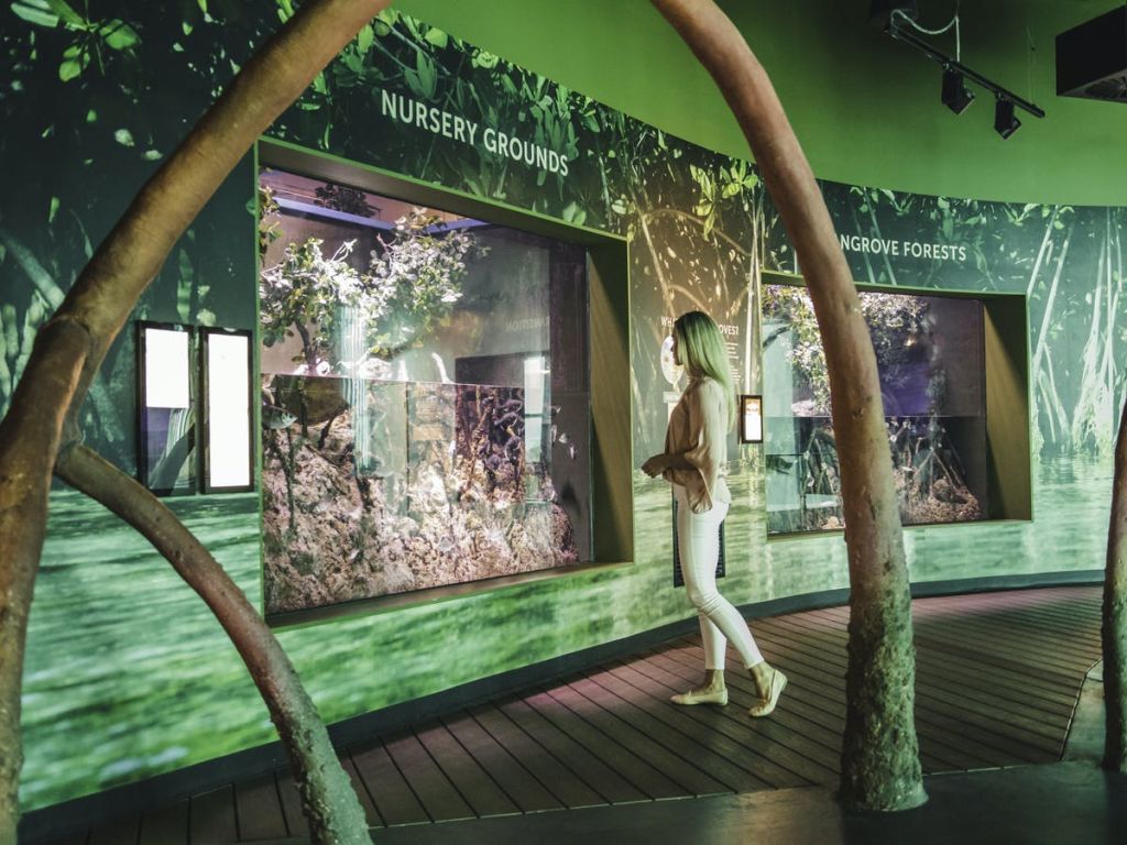 한 여성이 나무 줄기와 교육용 텍스트로 둘러싸인 자연 전시관에서 '어린이집 운동장' 이라고 표시된 전광판을 관찰하고 있습니다.