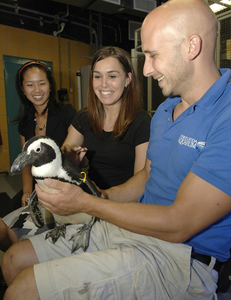 펭귄을 안고 있는 남성이 노란색 타일 벽이 있는 실내 환경에서 두 명의 여성과 함께 미소를 짓고 있습니다.