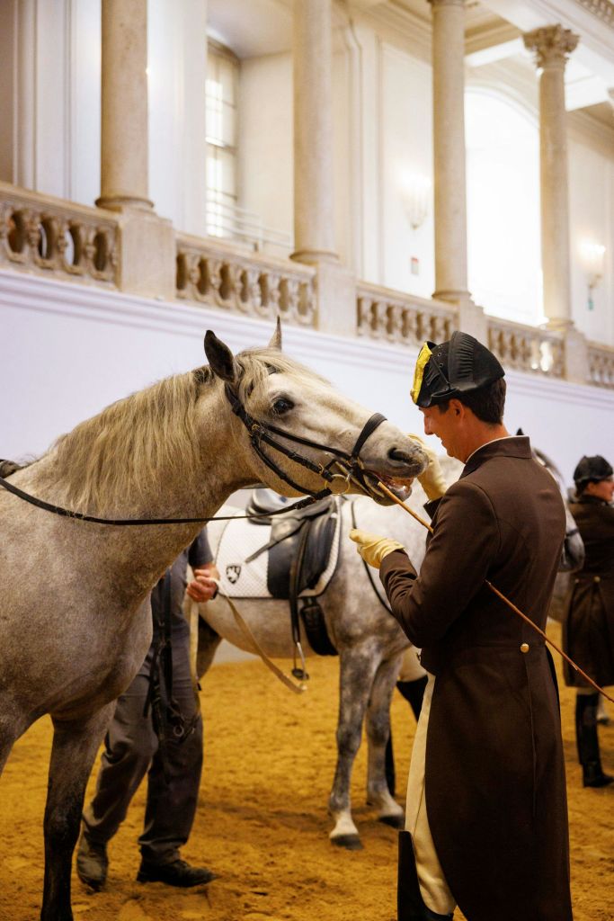 제복을 입은 남성이 높은 천장과 커다란 기둥이 있는 화려한 경기장 안에서 회색 말과 교감하고 있습니다.