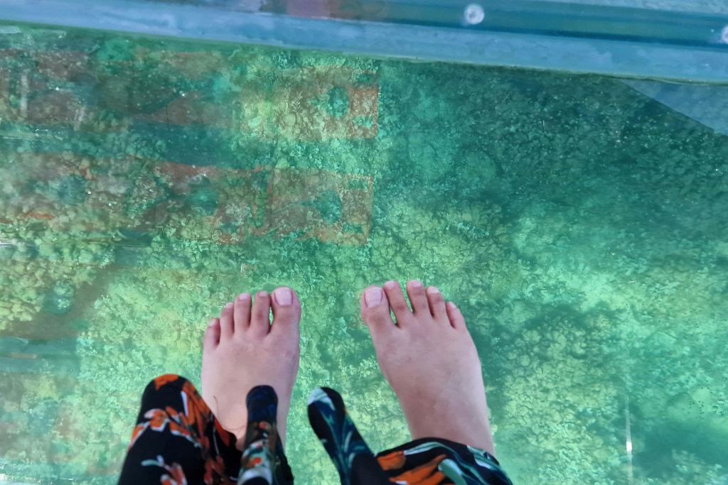 유리 바닥에 맨발로 서 있는 두 발로 아래 바다와 산호가 보입니다.