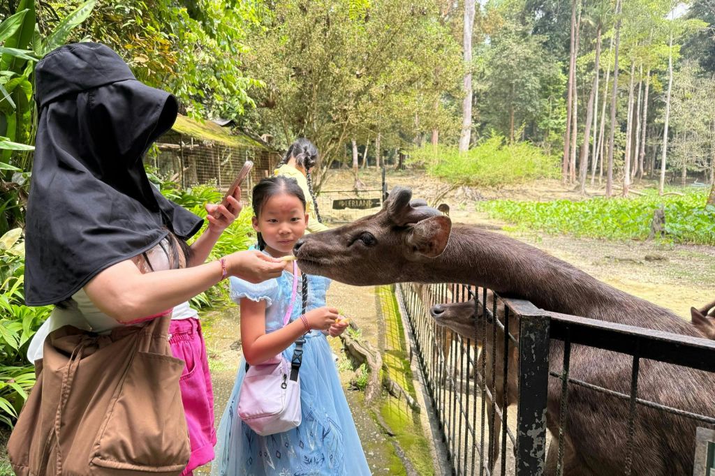 태양 모자를 쓴 여성과 파란색 드레스를 입은 어린이가 울창하고 푸른 야외 환경에서 울타리를 통해 사슴에게 먹이를 줍니다.