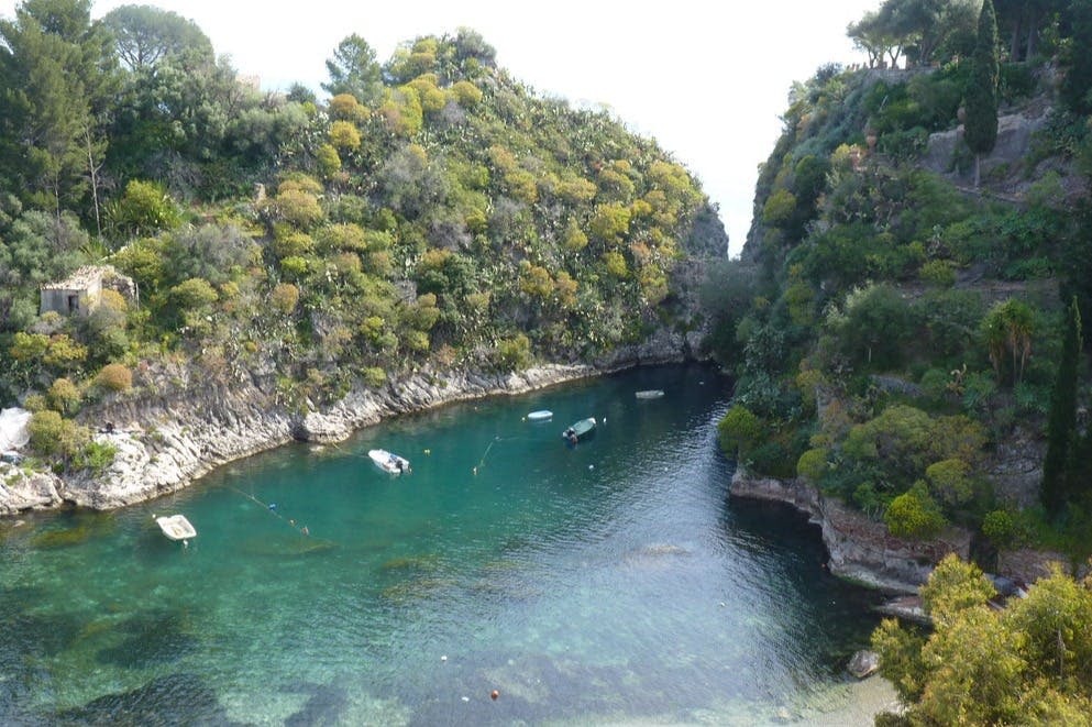 청록색의 맑은 물 위에 여러 개의 작은 배가 떠 있는 녹색 식물로 둘러싸인 좁고 잔잔한 만.