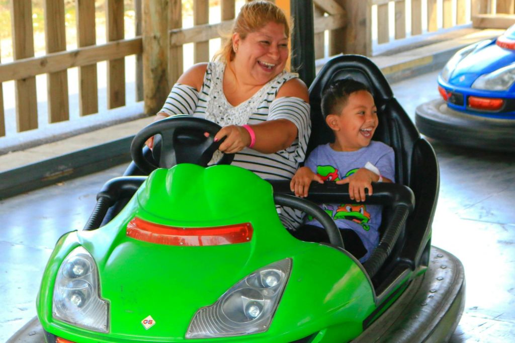 누구나 범퍼카를 좋아합니다!