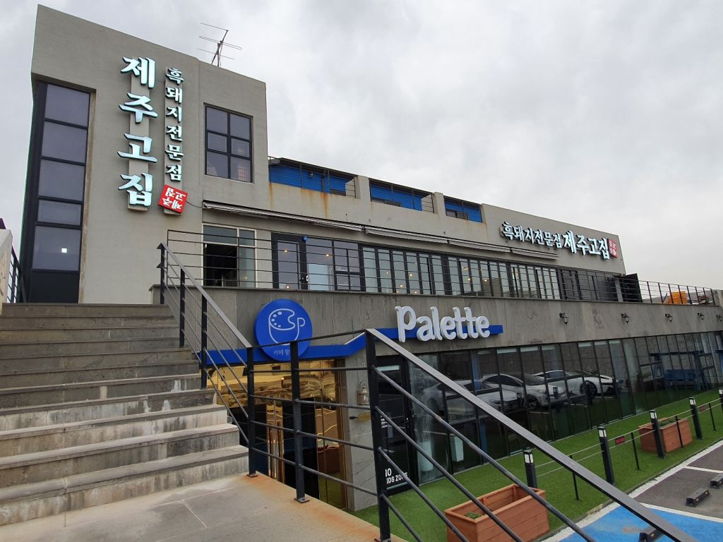 제주 고집
