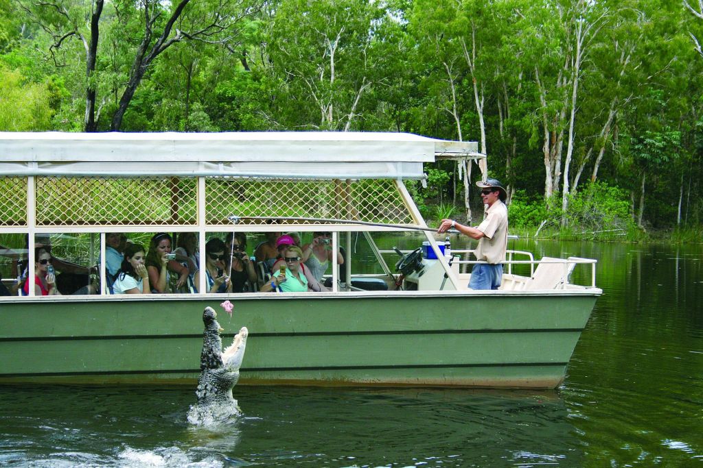 울창하고 푸른 환경에서 관찰하는 사람들로 가득 찬 투어 보트 근처에서 악어가 물에서 뛰어내립니다.