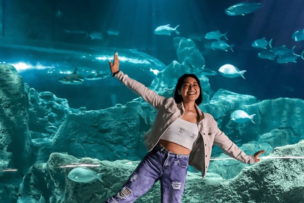 미친아쿠아리움과달라하라