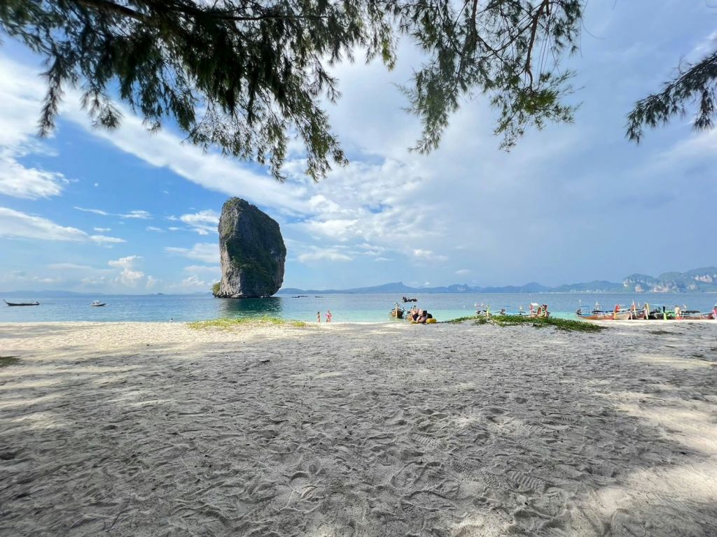 부분적으로 흐린 하늘 아래 물에 높은 바위 지층이 있고 머리 위로 나뭇가지가 있는 모래 해변에 느긋하게 누워 있는 사람들.