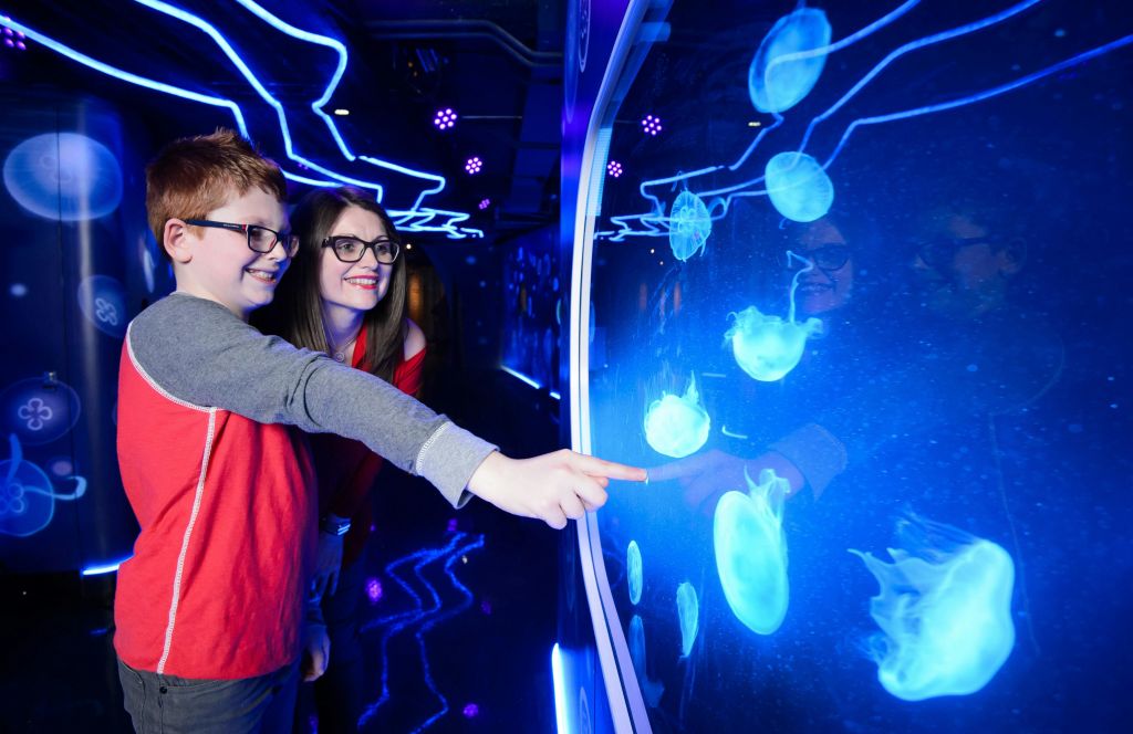 네온 불빛 아래에서 해파리가 빛나는 푸른 수족관을 바라보며 웃고 있는 한 소년과 한 여성.