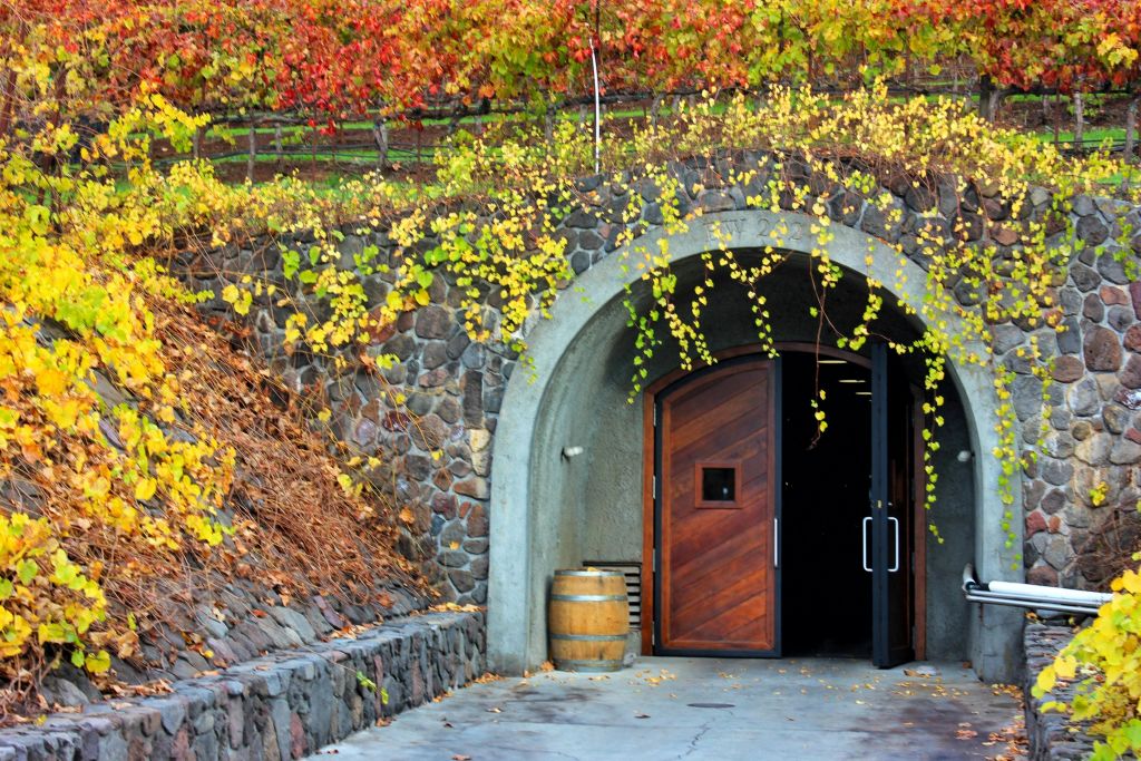 샌프란시스코 와인 투어 (전일 일정)