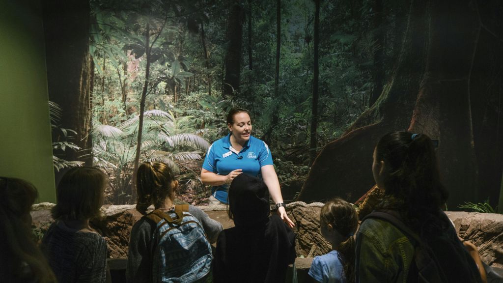 빽빽한 숲을 배경으로 파란색 셔츠를 입은 한 여성이 한 무리의 아이들과 대화를 나누고 있습니다.