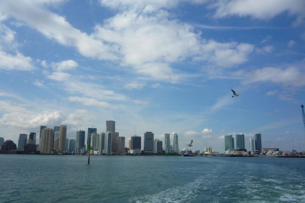 마이애미 그레이라인