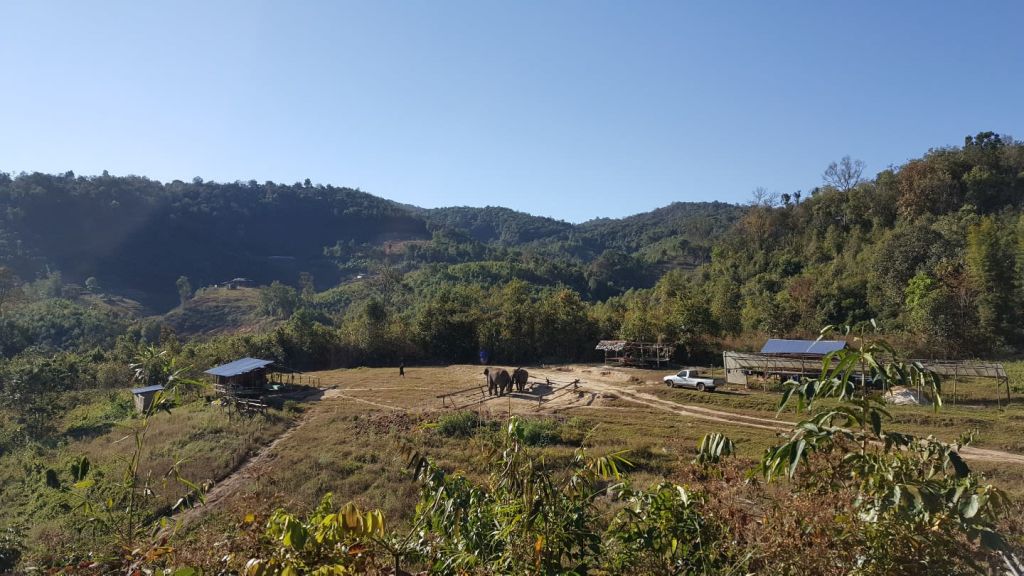 코끼리 자연 공원