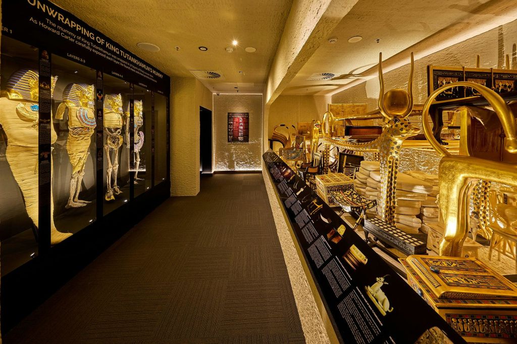 복도를 따라 정보 패널이 있는 투탕카문 왕과 관련된 황금 유물, 동상 및 전시가 있는 박물관 전시관입니다.