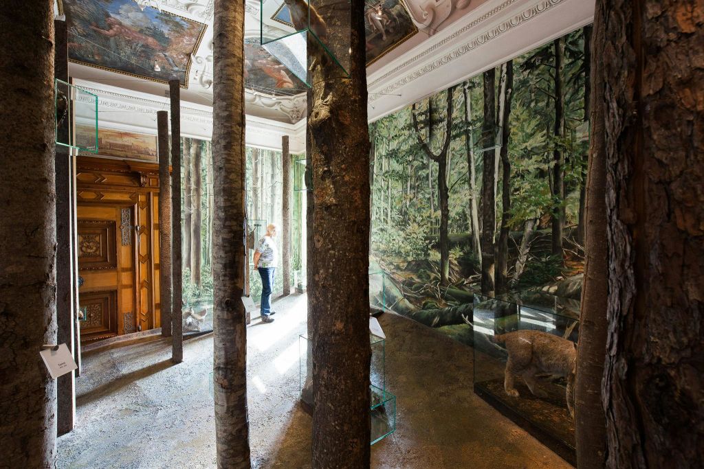 한 남성이 숲의 벽화와 통합된 나무 줄기, 유리 케이스에 담긴 곰 조각이 있는 미술 전시를 관찰합니다.