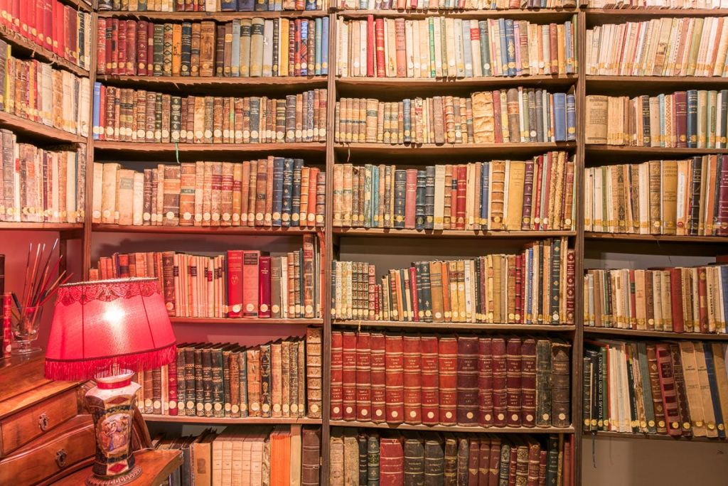 좌측 하단에 붉은 테이블 램프가 놓인 다양한 책들이 가득한 책장 벽.
