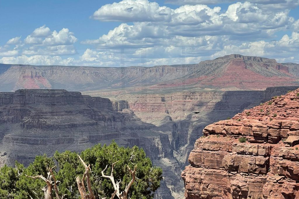 그랜드캐니언웨스트림