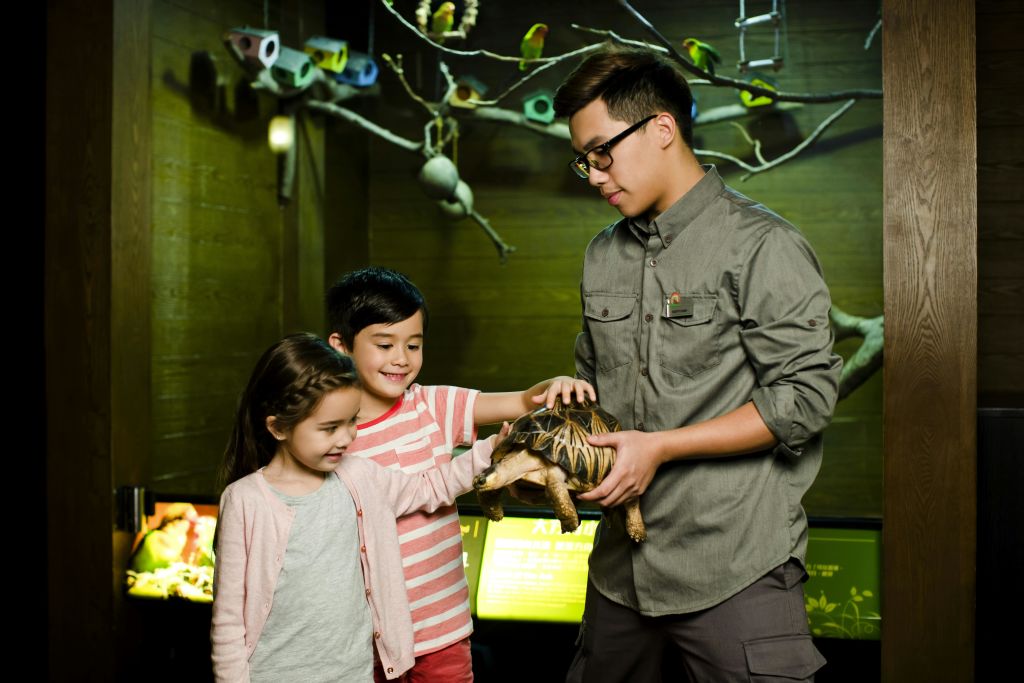 두 어린이가 새와 나뭇가지를 배경으로 한 실내 전시관에서 한 남성이 들고 있는 거북이를 쓰다듬고 있습니다.