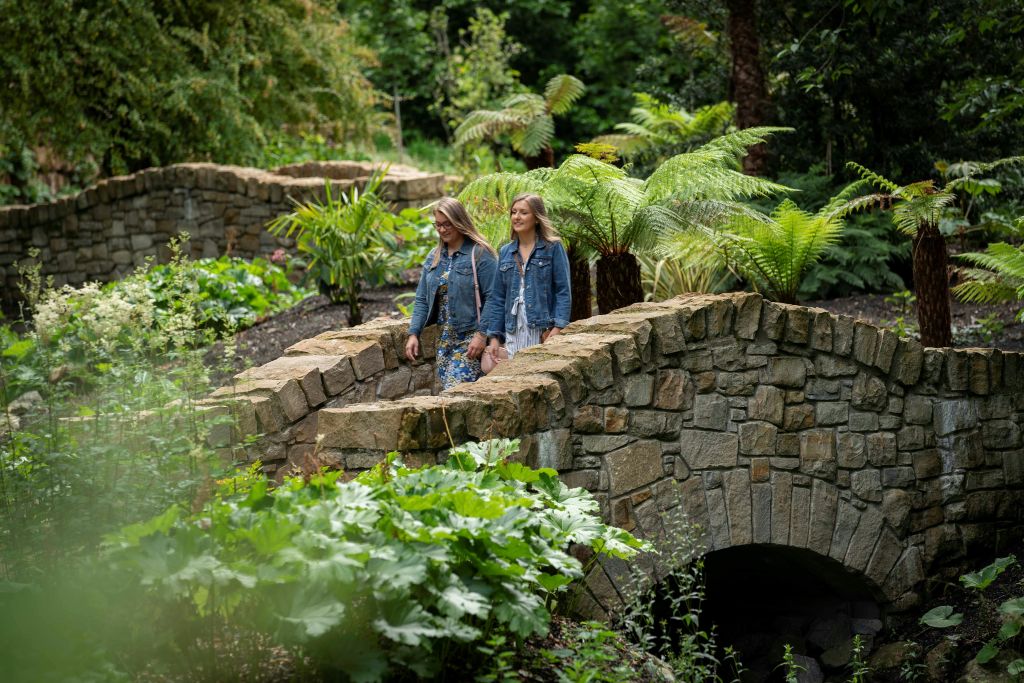 데님 재킷을 입은 두 명의 여성이 무성한 녹지와 양치류로 둘러싸인 돌다리를 걷고 있습니다.
