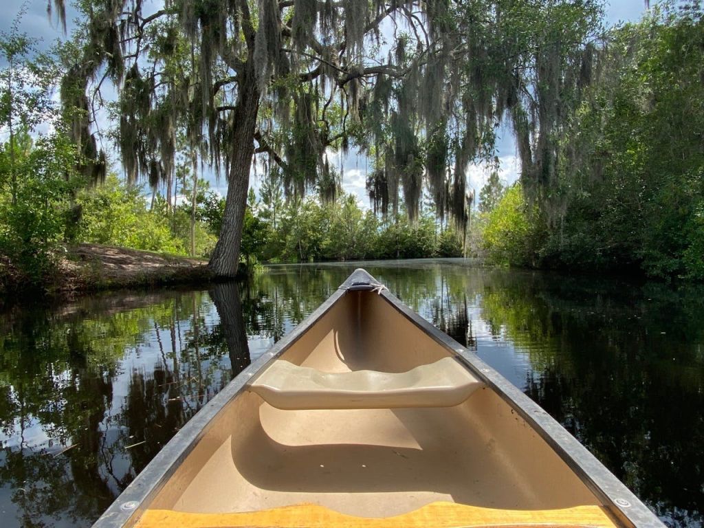 부분적으로 흐린 하늘 아래 스페인 이끼로 덮인 나무로 둘러싸인 잔잔한 물 위의 카누 내부에서 바라보는 풍경.