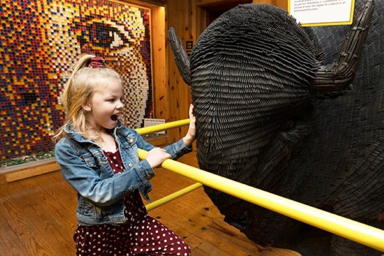 리플리의 믿거나 말거나! 브랜슨