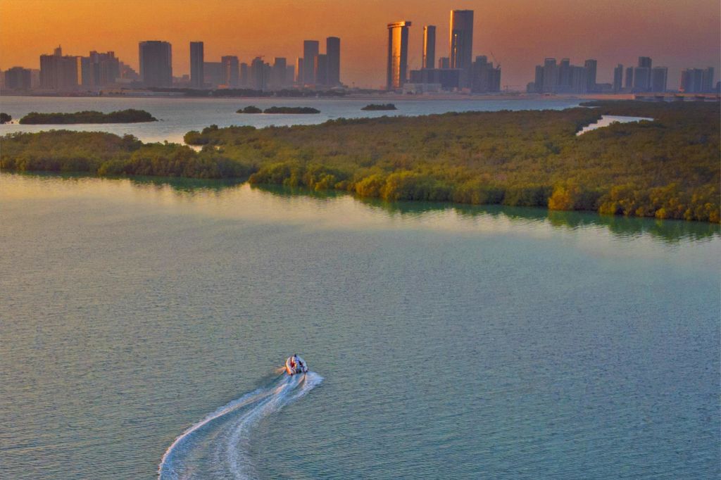평온한 석양의 파도를 타보세요.