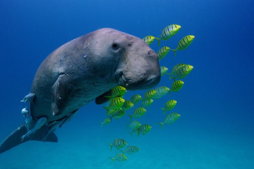 뉴잉글랜드 아쿠아리움에서 만나는 바다의 비밀