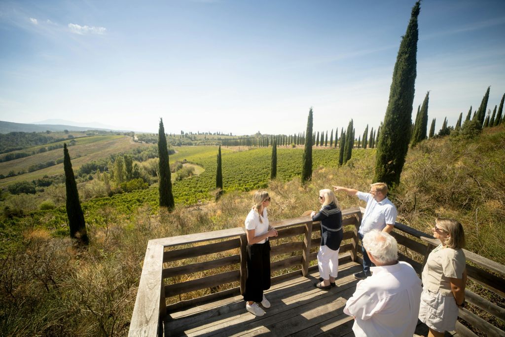 포도원 투어 중 보기