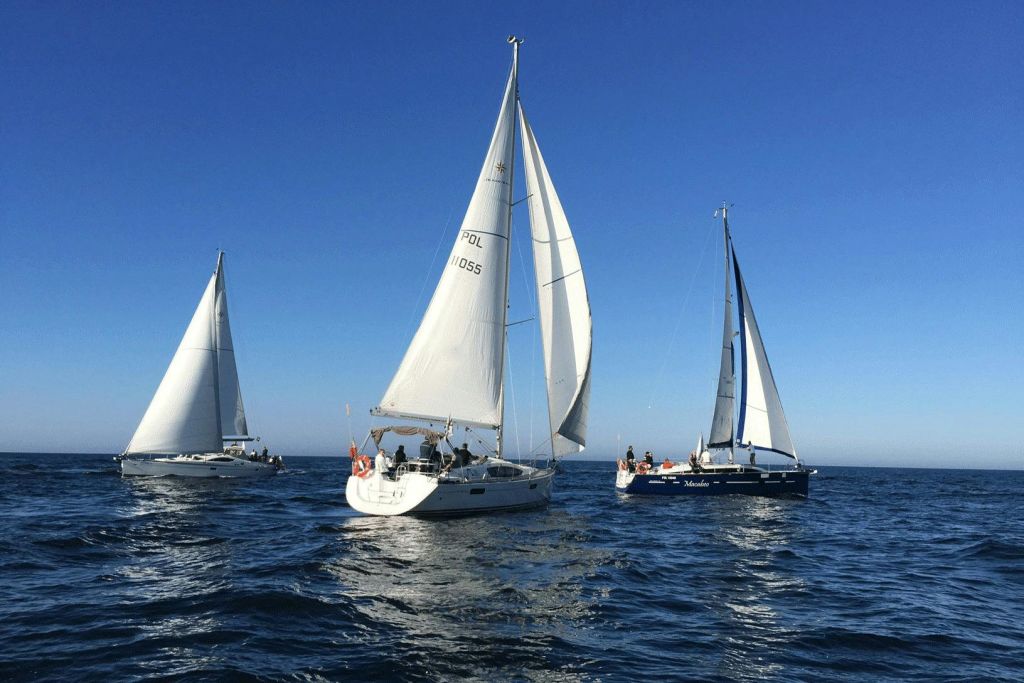 현대적인 바다 위 통나무집 요트 3선